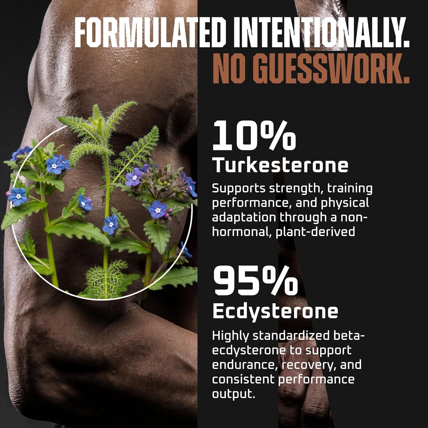 Turkesterone & Ecdysterone – Natural Testosterone Support, 2-In-1 High Potency Turkesterone Supplement for Men & Women with 95% Beta Ecdysterone - Made in USA & 3Rd Party Tested - 180 Capsules