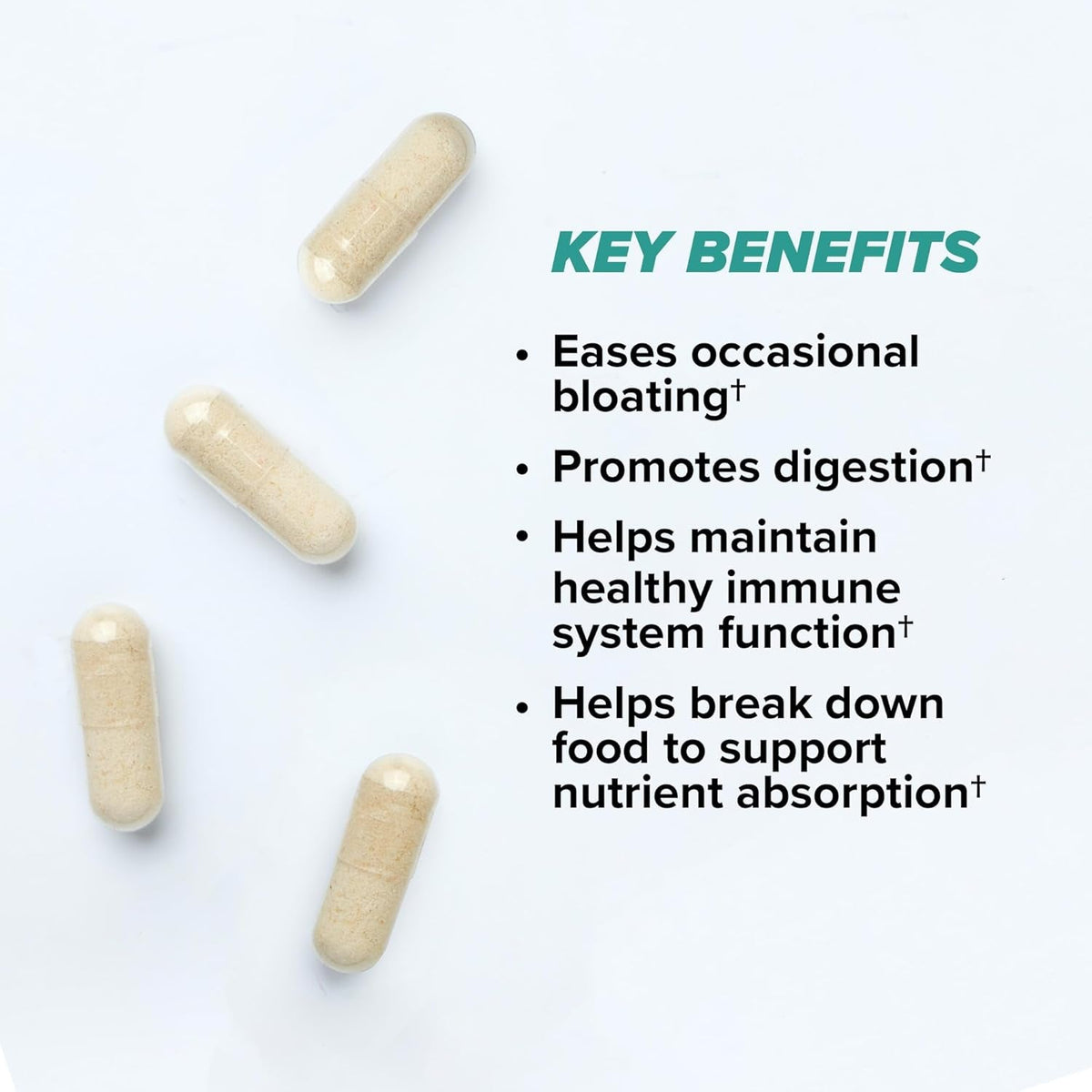 ONNIT Total Gut Health Daily Digestive Support, IGEN Non-Gmo Tested Digestion Supplement for Women and Men with 7 Strains of Probiotics, Prebiotics, Enzymes and Betaine HCL, 120 Count