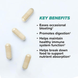 ONNIT Total Gut Health Daily Digestive Support, IGEN™ Non-Gmo Tested Digestion Supplement for Women and Men with 7 Strains of Probiotics, Prebiotics, Enzymes and Betaine HCL, 60 Count