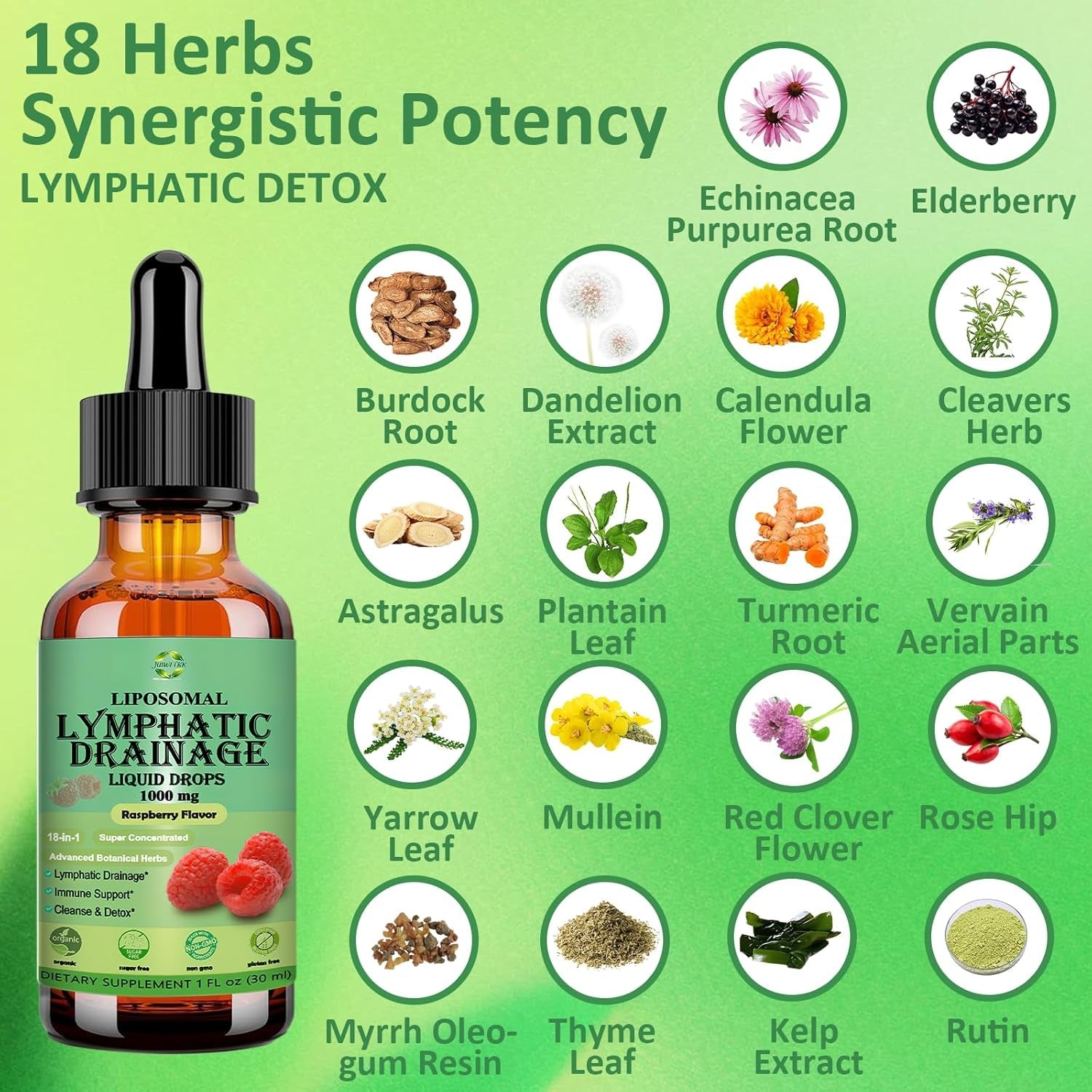 Lymphatic Drainage Drops, 18-In-1 Herbal Lymph System Support W. Echinacea Elderberry Dandelion Burdock Root Cleavers for Lymphatic Cleanse Detox Immune Support, Liposoaml for Max Absorption
