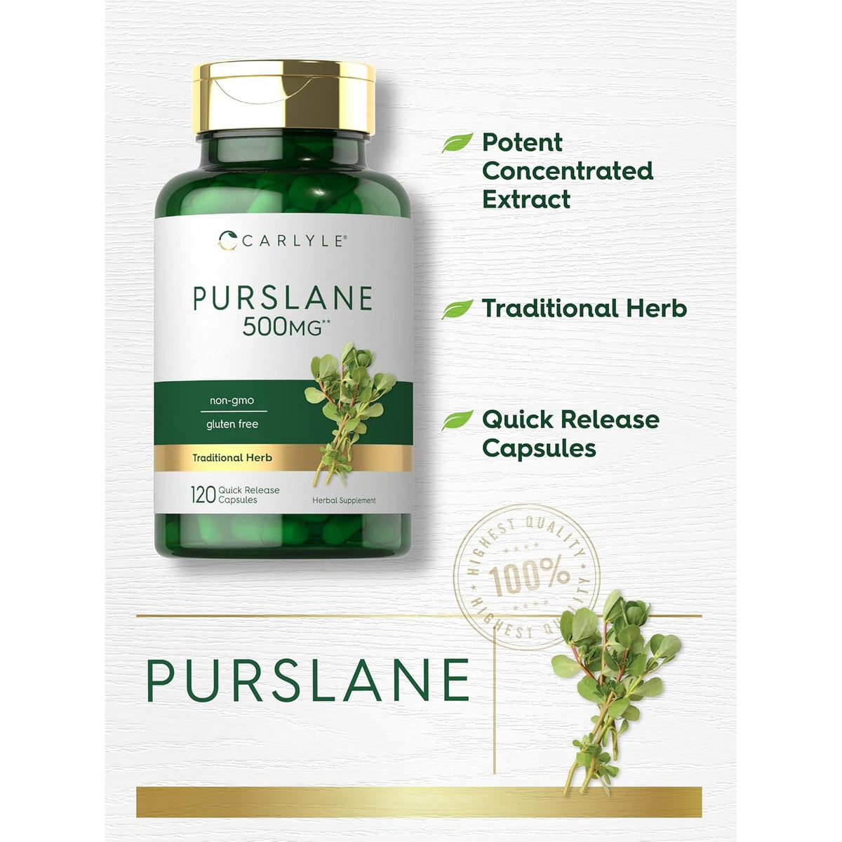 Carlyle Purslane Capsules | 120 Count | Portulaca Oleracea Extract | Non-Gmo, Gluten Free Supplement