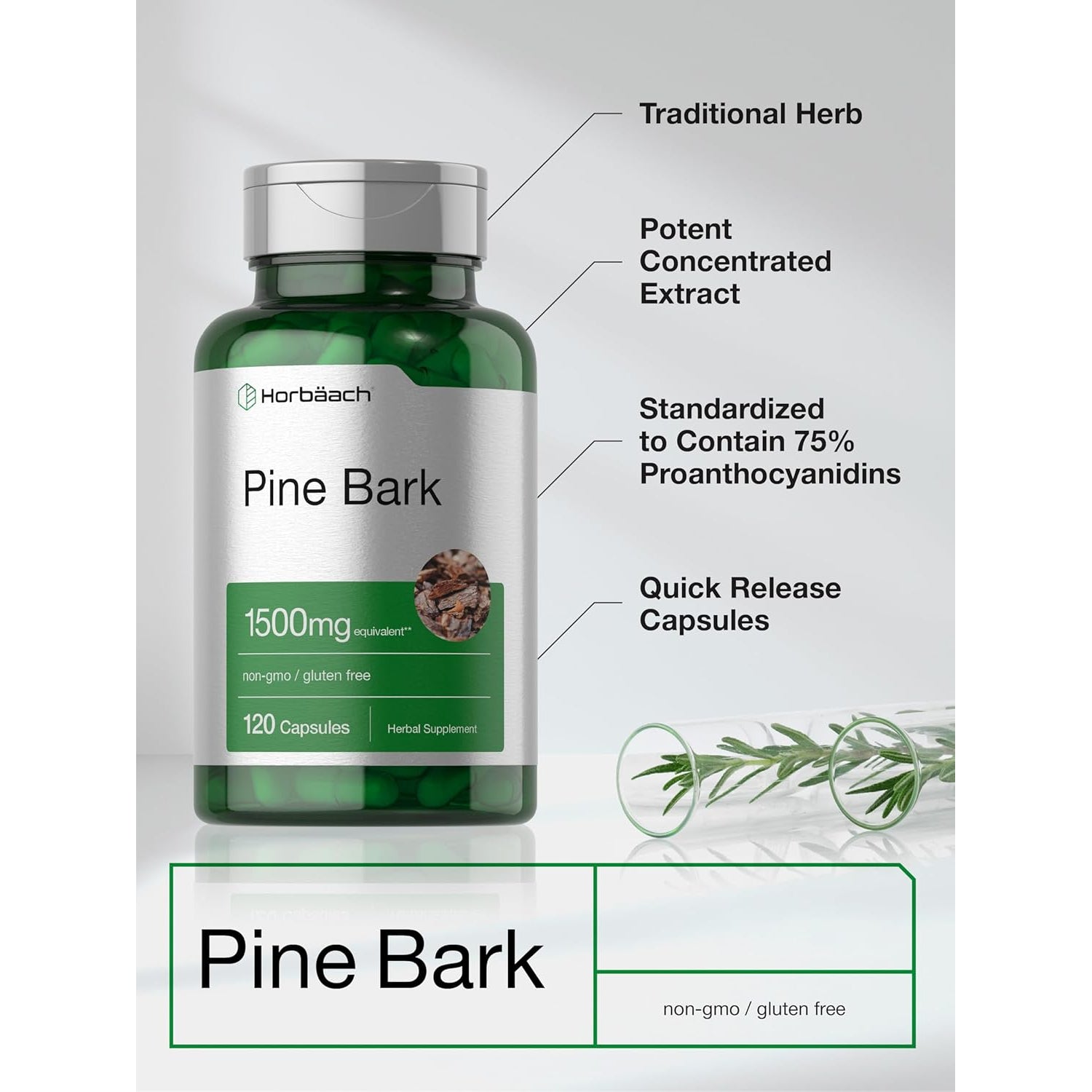 Horbäach Pine Bark Extract Capsules |120 Count | Non-Gmo and Gluten Free