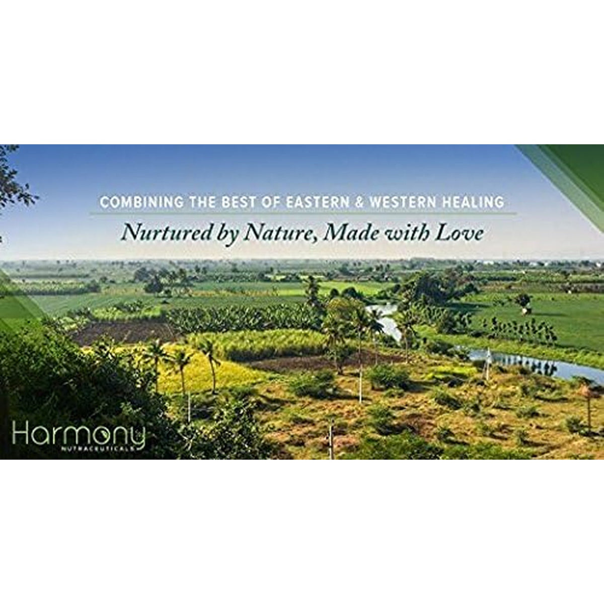 Bhumi Amla Supreme - Chanca Piedra – Harmony Nutraceutical Highest Potency, Maximum Bioactivity, Pure Herbal Supplement for Liver, Gallbladder & Kidney