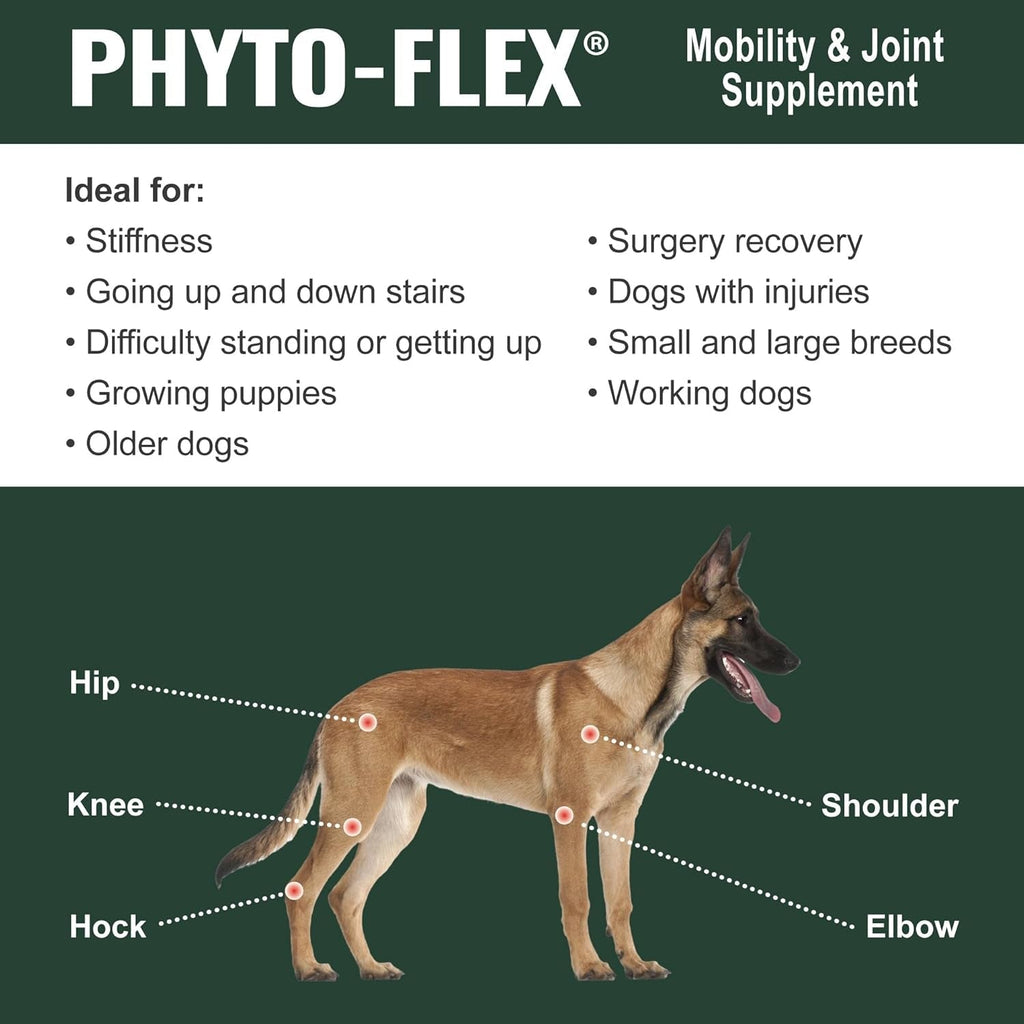 Dogzymes Phyto Flex - Glucosamine, Chondroitin, MSM and Hyaluronic Acid… (1 Pound)
