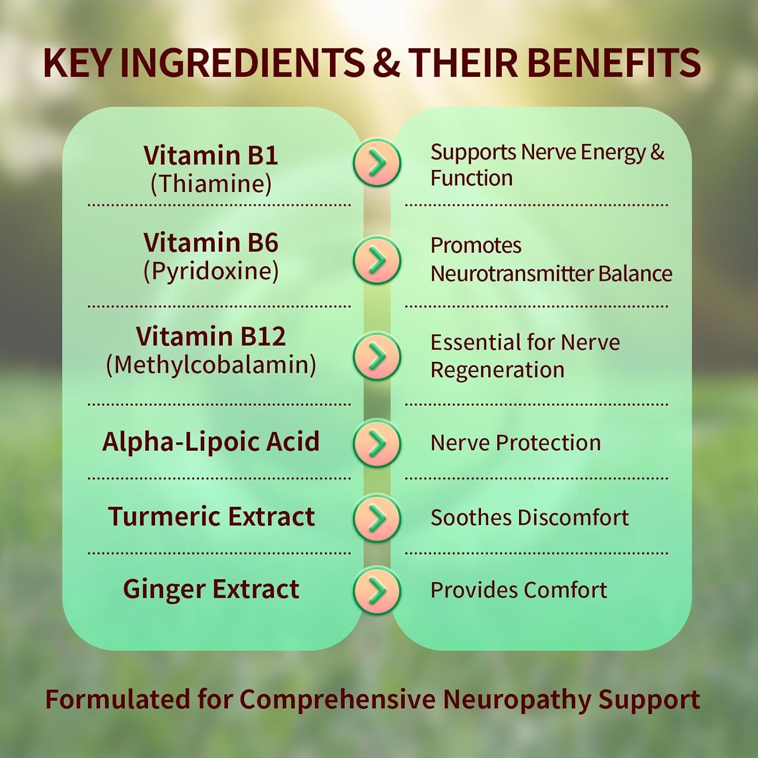 Sugar Free Neuropathy Support Gummies for Nerve – Enhanced Nerve Health, Regeneration, Cognitive Support with Vitamin B1, B6, B12, Magnesium, ALA, Turmeric, Coq10 & More