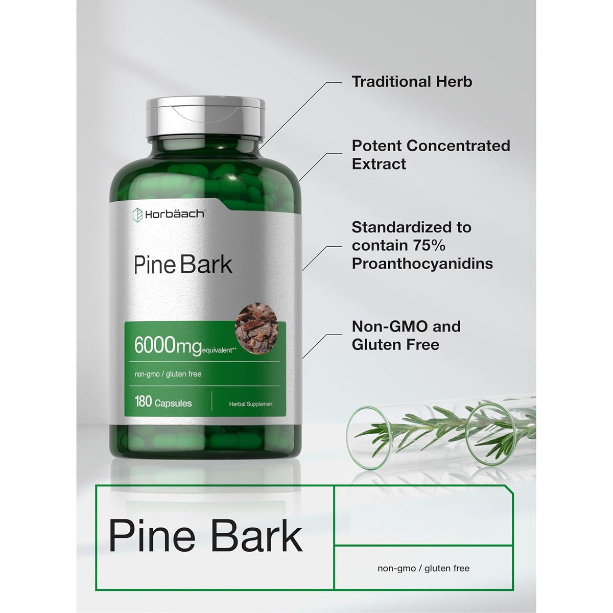 Horbäach Pine Bark Extract | 180 Capsules | Standardized to Contain 75% Proanthocyanidins | Non-Gmo, Gluten Free Supplement | High Potency
