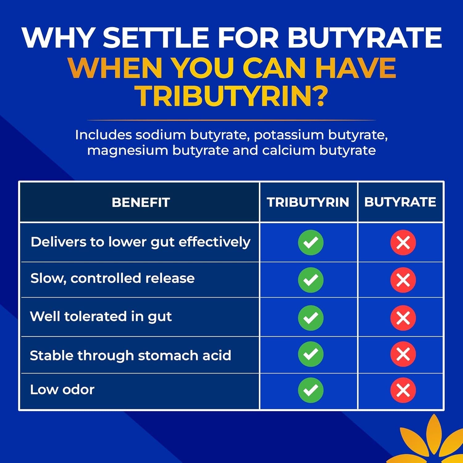 Tributyrin Supplement - Better Delivery & More Effective than Sodium Butyrate - Gut Health & Digestive Support - 3-In-1 Butyrate Postbiotics for Leaky Gut & Gut Barrier Support - 30 Capsules