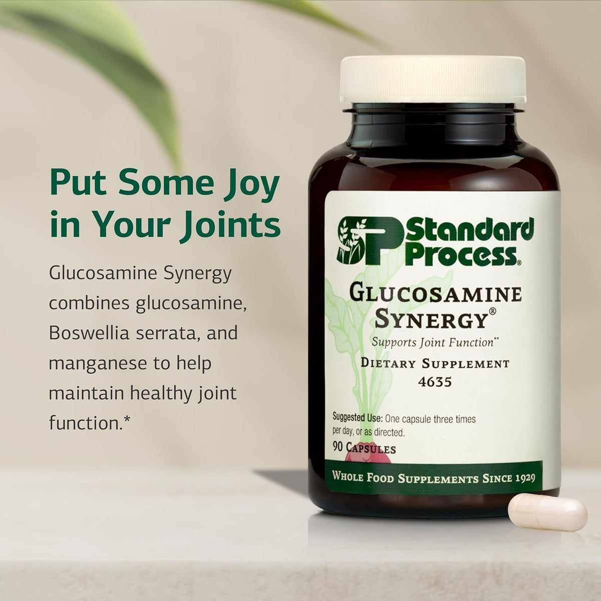 Standard Process Glucosamine Synergy - Joint Health Support Supplement - Support Connective Tissue with Glucosamine & Boswellia Serrata - Whole Food-Based Supplement with Manganese - 90 Capsules