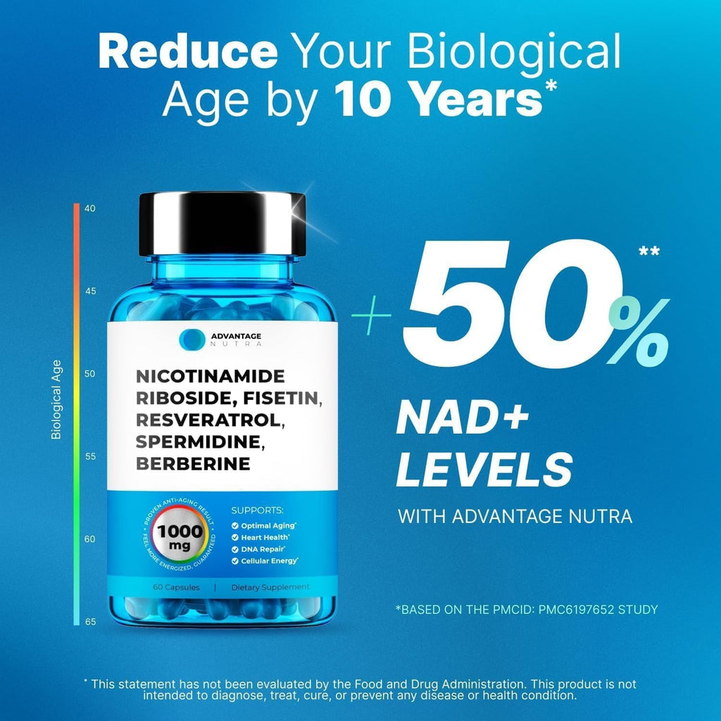 Liposomal Nicotinamide Riboside NR Supplement Resveratrol NAD : Nicotinamide 500Mg W/Fisetin, Resveratrol Powder Spermidine Berberine NAD Resveratrol Supplement 500 Mg - 60 Caps 1 Pack