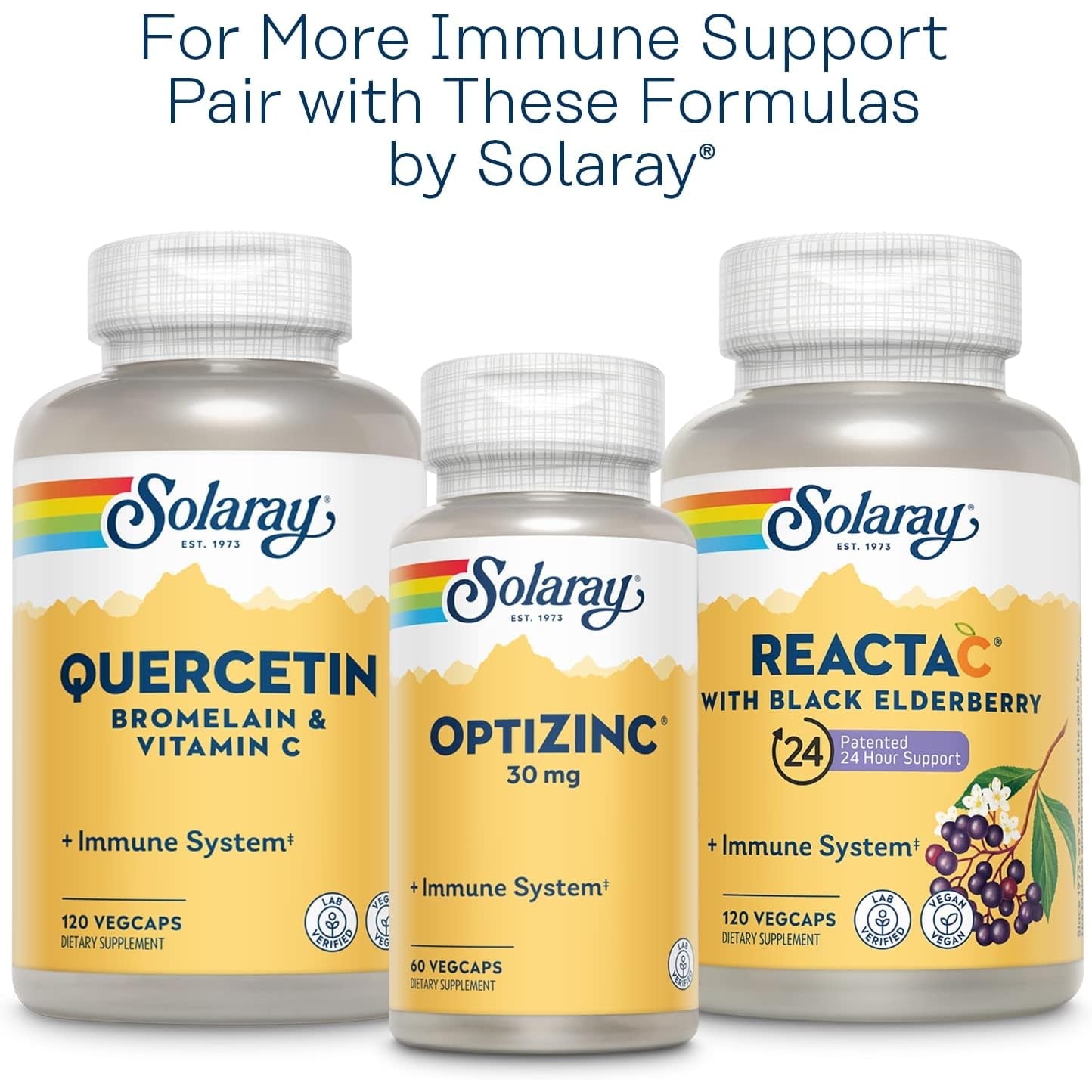 SOLARAY L-Lysine Monolaurin Immune Support Supplement, 1:1 Ratio for Immune System Function, 500 Mg Each, 60-Day Money Back Guarantee, 30 Servings, 60 Vegcaps
