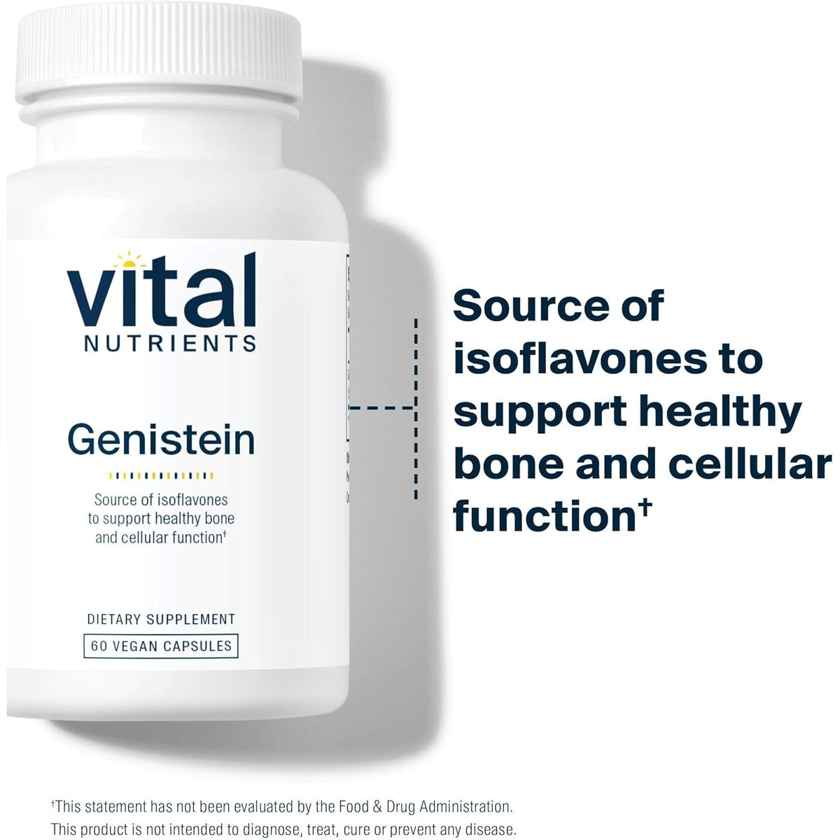 Vital Nutrients Genistein - Easily Absorbed Isoflavones for Bone Health Support* - Vegan Supplement - Gluten and Dairy Free - Non-Gmo - 60 Capsules