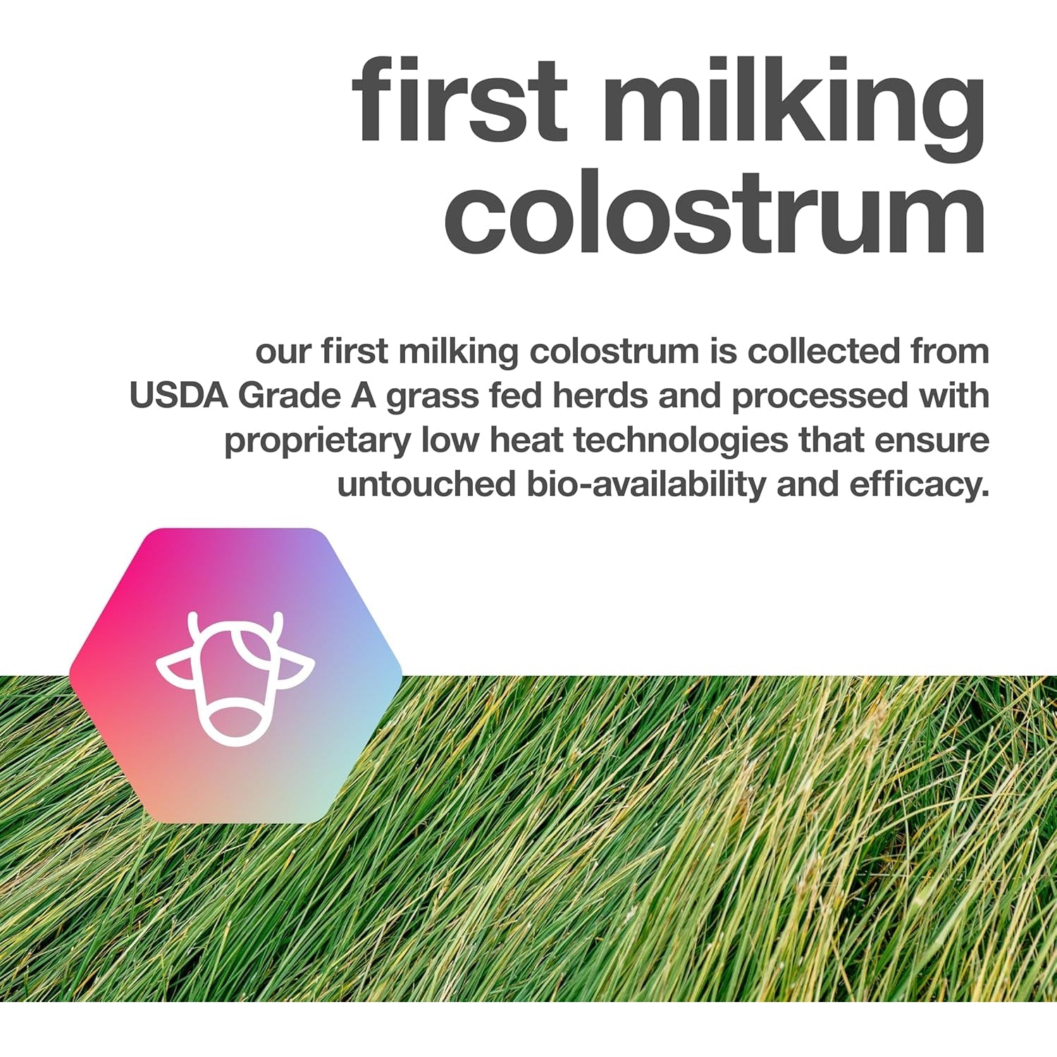 Pure Bovine Colostrum 180 Capsules - Antibiotic and Hormone Free - USA Sourced - All Natural - 100% First Milking
