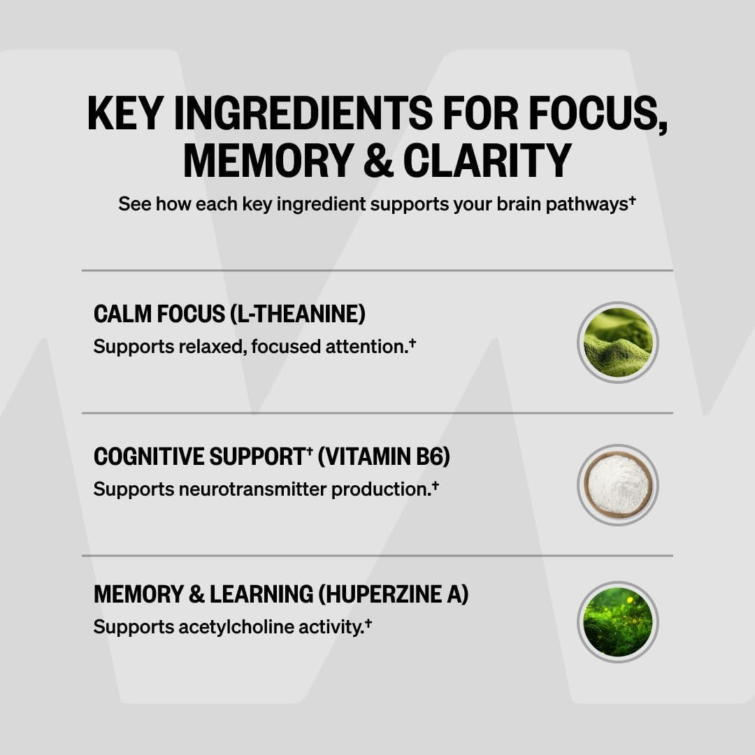 ONNIT Alpha Brain Nootropic Brain Supplement for Focus, Memory, Mental Clarity, Cognitive Support with L-Theanine and Vitamin B6, 30 Count Capsules