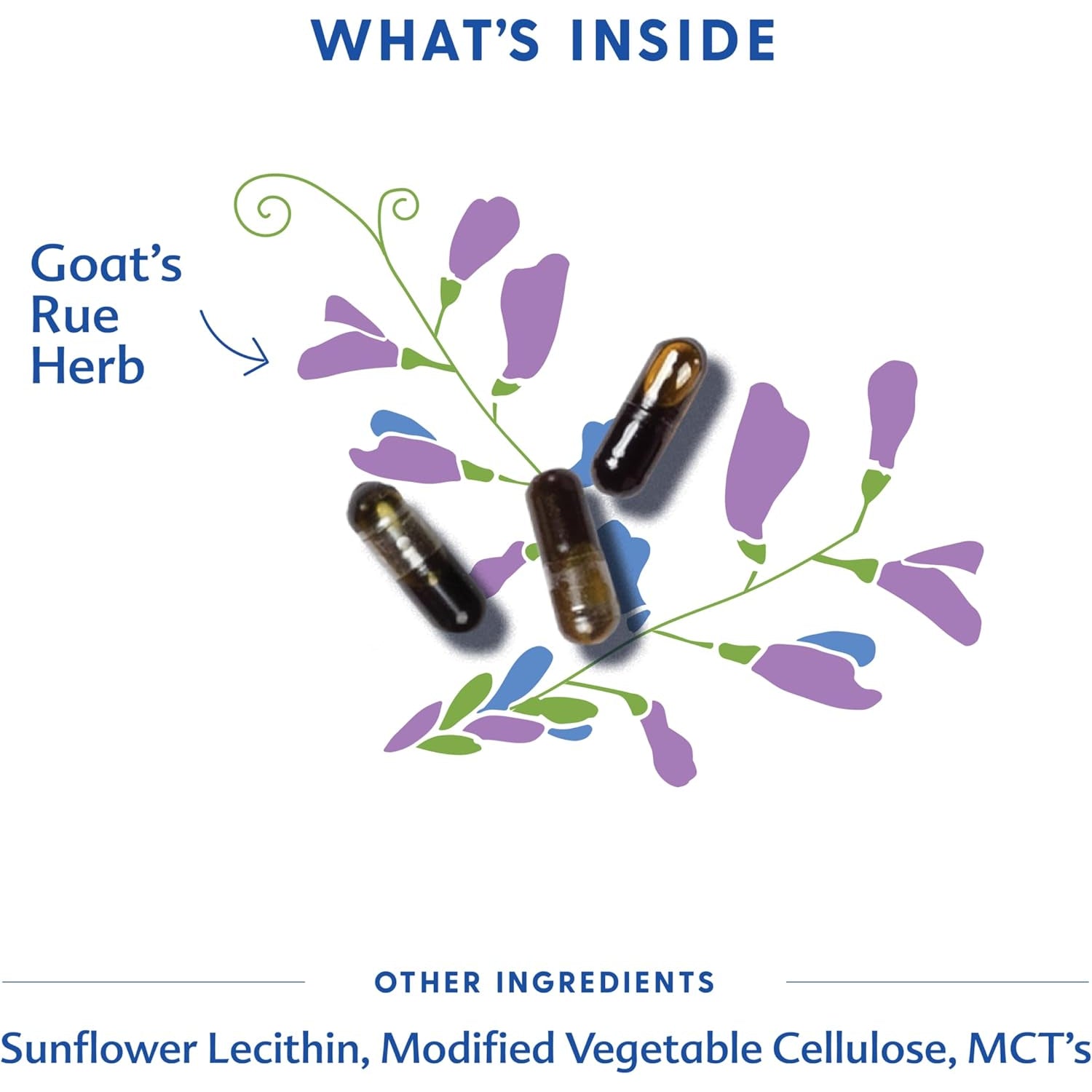Motherlove Goat’S Rue (60 Liquid Caps) Lactation Supplement for Breast Tissue Development & Supporting Breast Milk Supply —Non-Gmo, Organic Herbs, Vegan, Kosher, Soy-Free