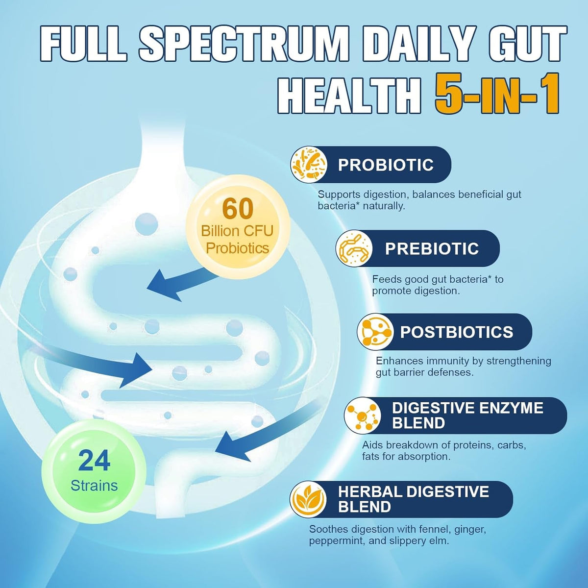 Totaria 5-In-1 Probiotic Prebiotic & Postbiotic for Women Men, 60 Billion CFU 24 Strains W/Digestive Enzymes, Prebiotic Fiber, Slippery Elm, Daily Complete Immune, Gut Health, 120 Day Supply