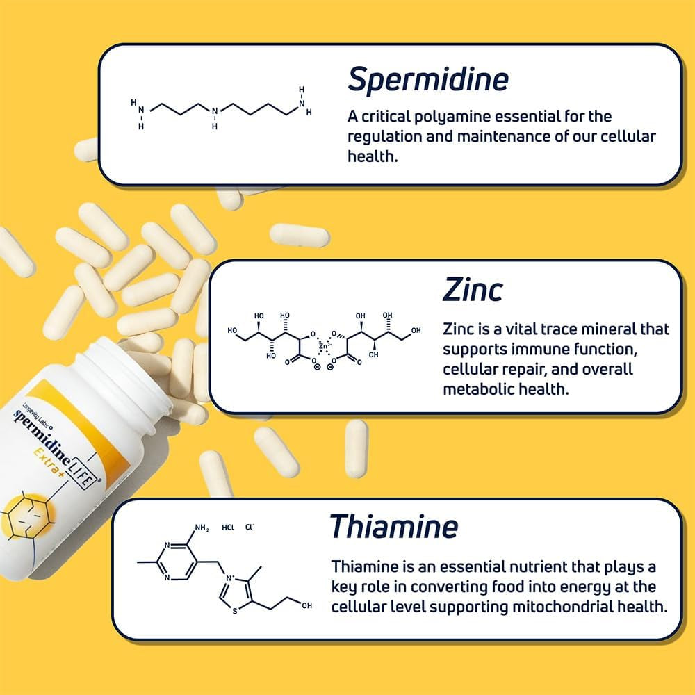 LONGEVITY LABS + Spermidinelife Natural Supplement, Non-Synthetic Plant-Based Wheat Germ Extract with High Spermidine & Zinc for Cell Renewal, Vegan, for Women & Men, 60 Capsules