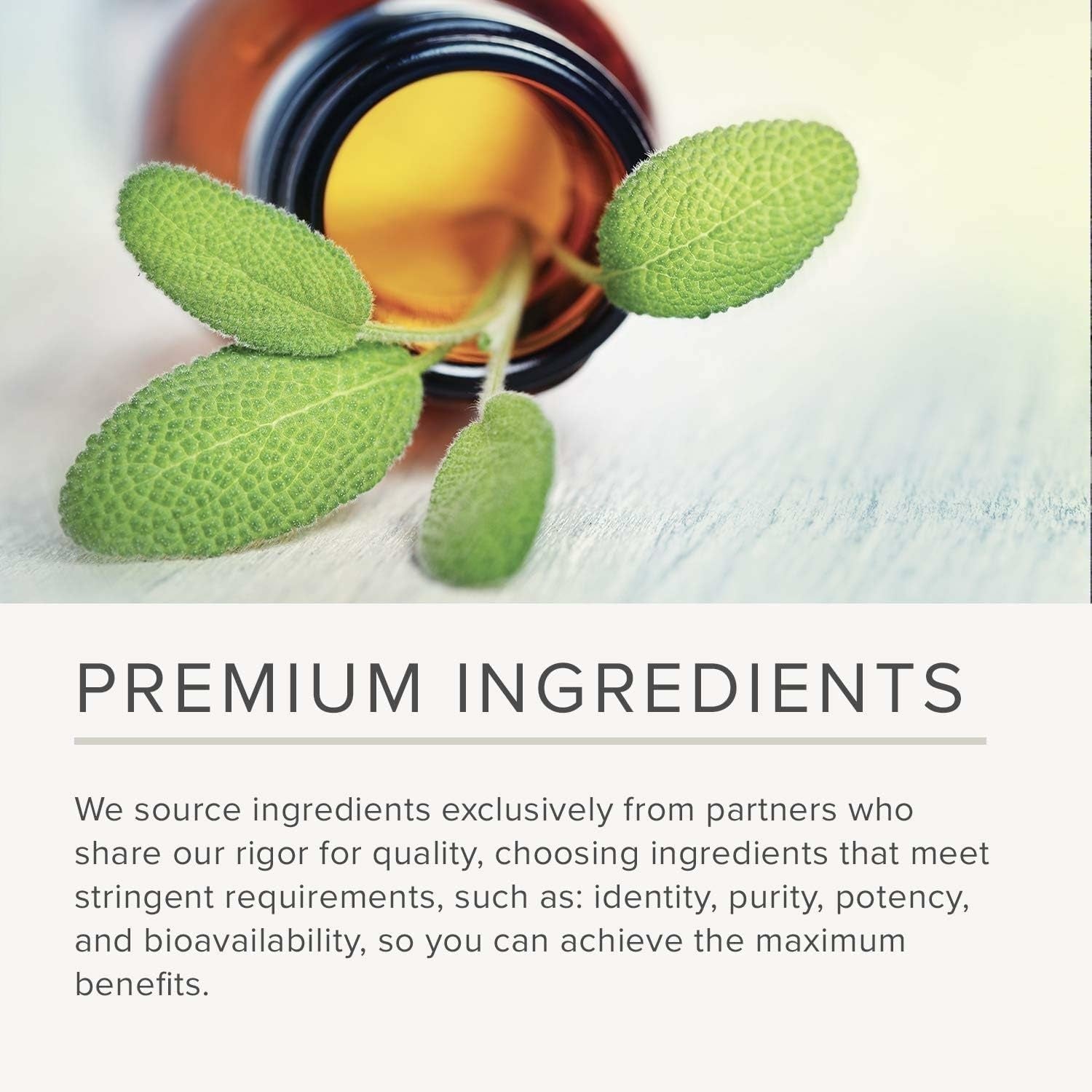 Integrative Therapeutics Krebs Magnesium Potassium Complex - Mineral Supplement to Support Heart Function* - Cellular Energy Support* - Gluten-Free & Dairy-Free - 120 Tablets (60 Servings)