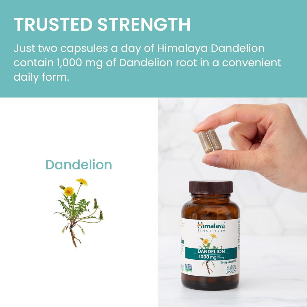 Himalaya Dandelion - Dandelion Root Supplement Supporting Daily Wellness and Health - Vegan, Gluten Free, 1000 Mg, 60 Capsules
