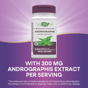 Nature'S Way Premium Extract Andrographis, Immune Support*, 300 Mg Andrographis Extract per Serving, 60 Vegan Capsules