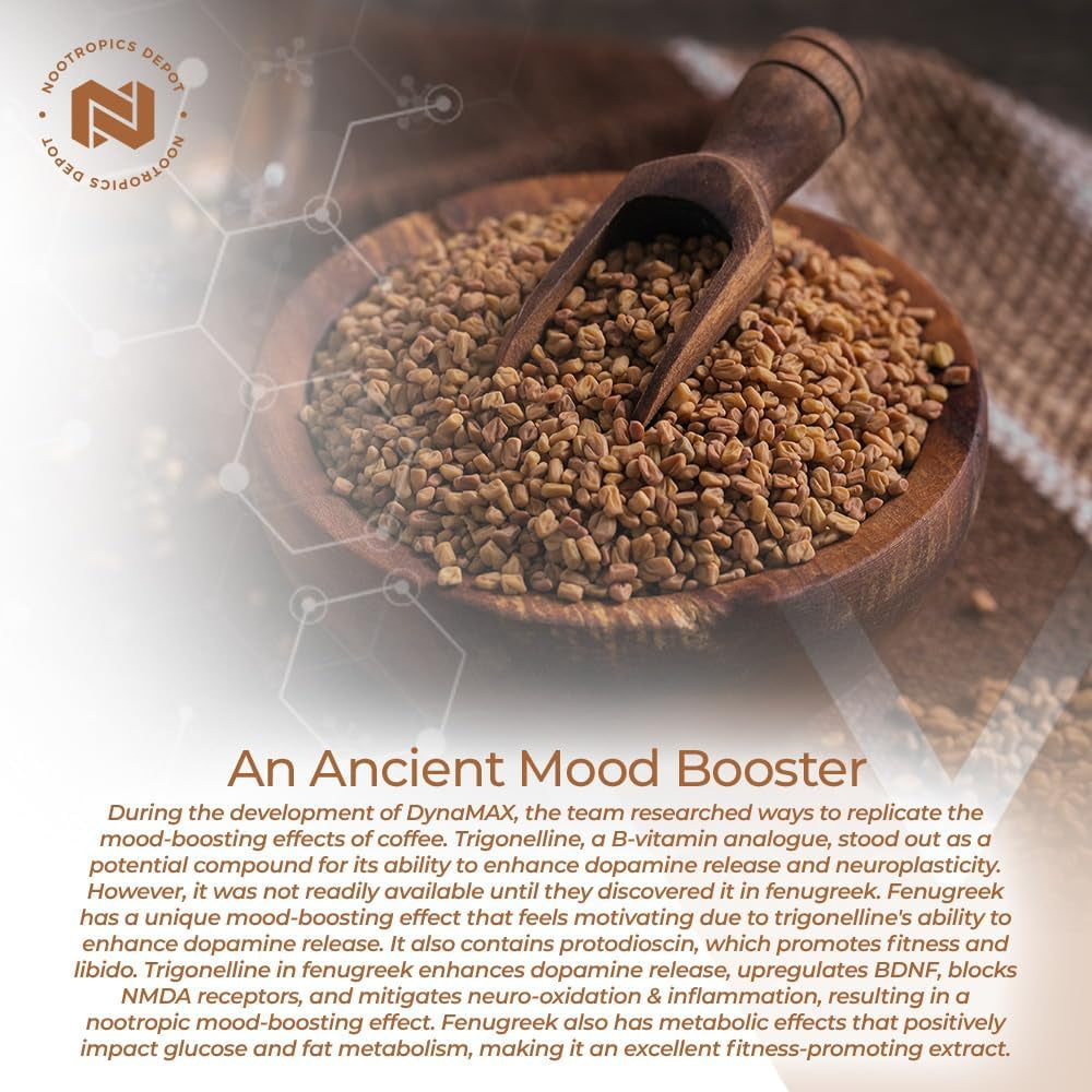 Nootropics Depot Fenugreek Extract Capsules | 500Mg | 60 Ct | 3% Trigonelline, 1% Protodioscin | Trigonella Foenum-Graecum | Mood, Fitness, & Metabolic Function