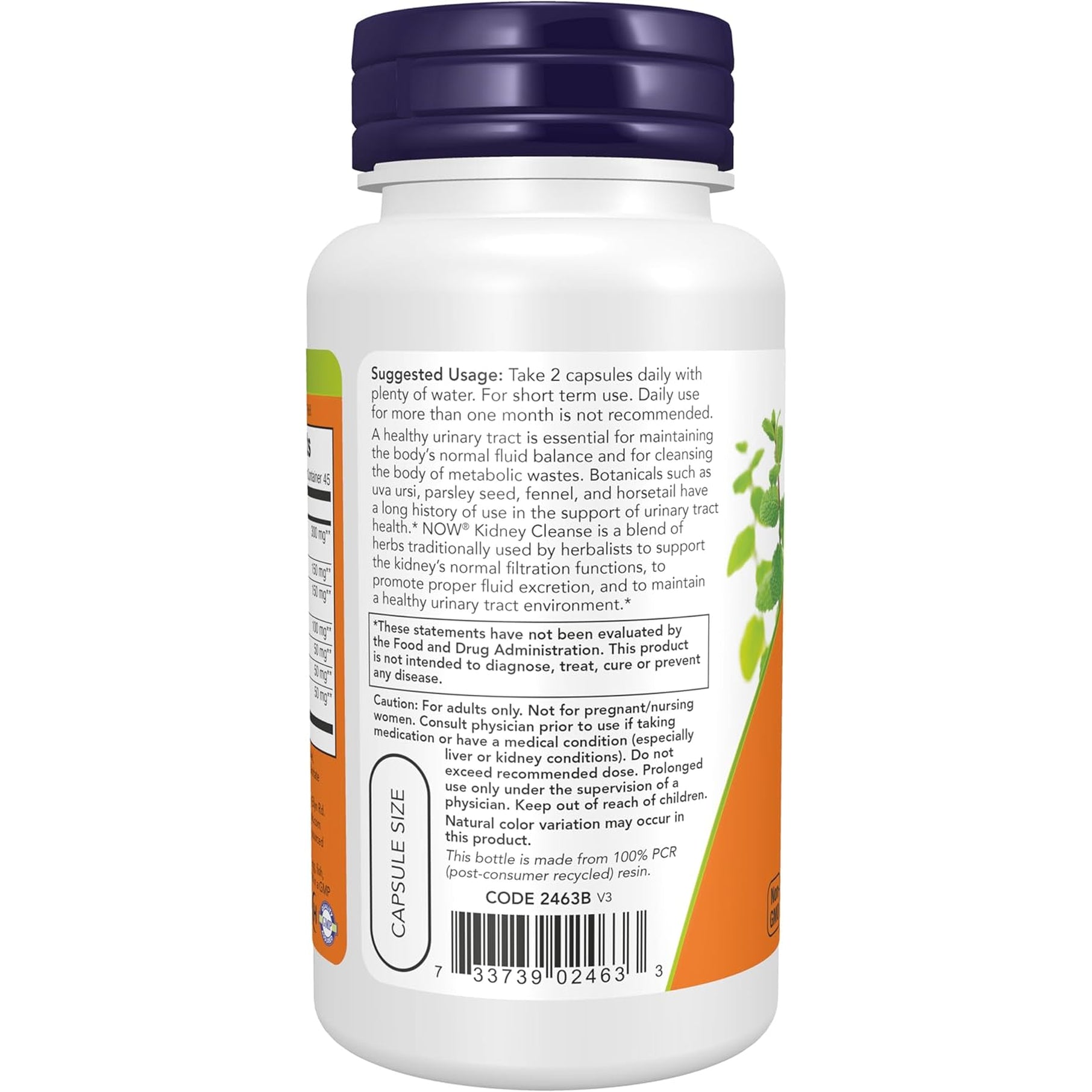 NOW Supplements, Kidney Cleanse with Uva Ursi, Parsley Seed, Fennel, and Horsetail, 90 Veg Capsules