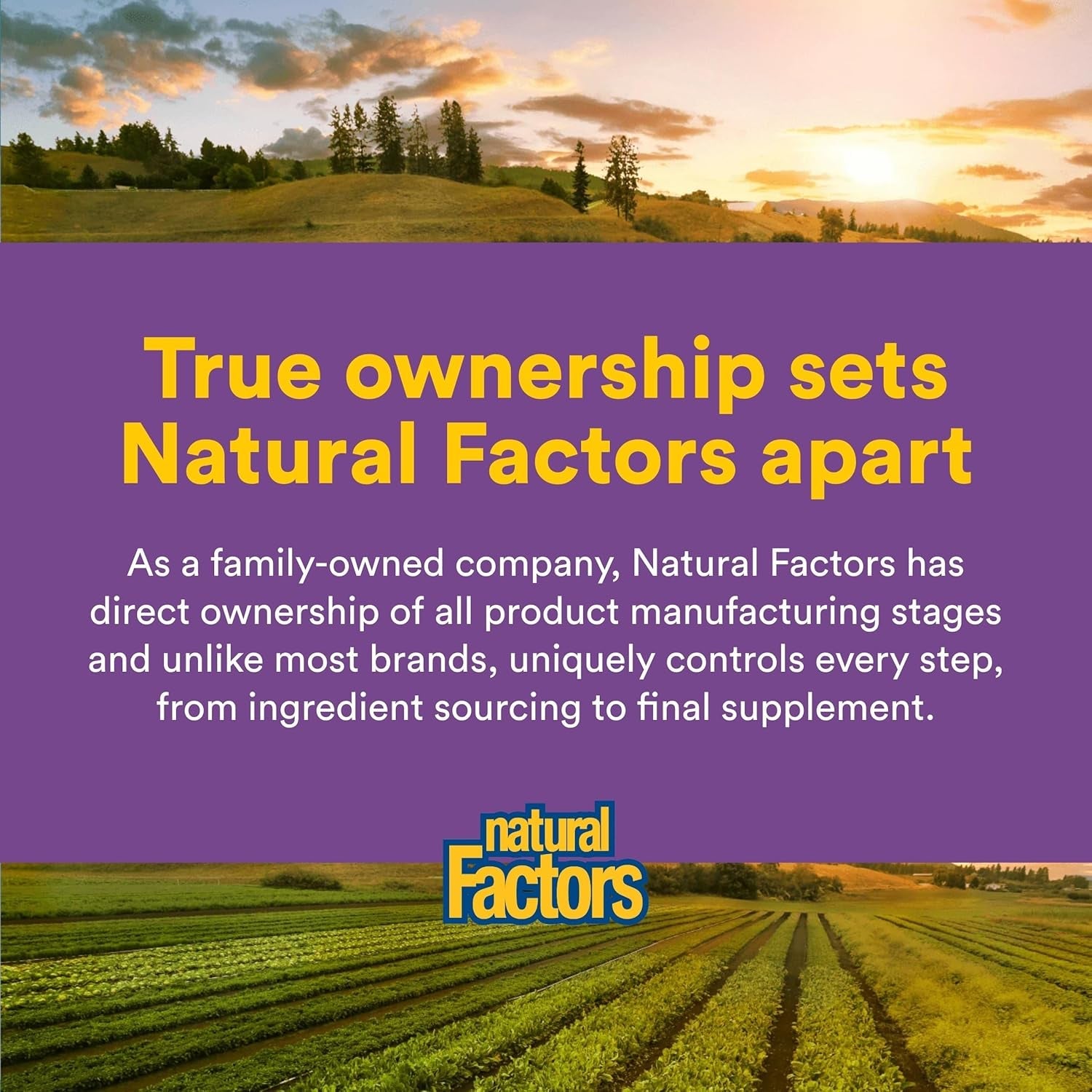 Natural Factors Pharma GABA - Dietary Supplement Supports Calm Sleep & Sleep Quality - Natural, Fast-Working Supplement Aids Focus & Brain Health - 60 Vegetarian Capsules (60 Servings)