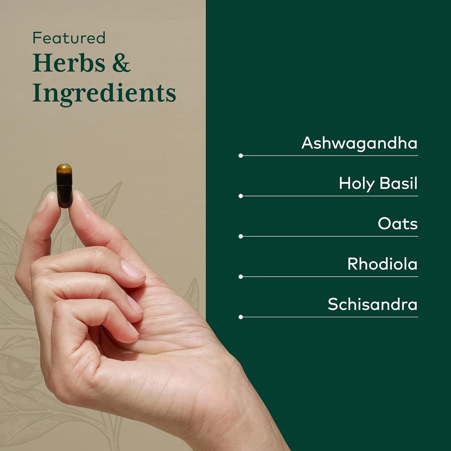 GAIA HERBS PRO Daytime HPA - Adaptogen Support Supplement - Nervous System Support Supplement with Olive Oil & Rhodiola* - Vegan, Gluten-Free, Soy-Free - 120 Liquid Phyto-Caps (60 Servings)