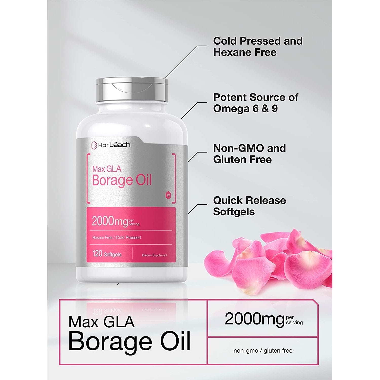 Horbäach Borage Oil Capsules 2000 Mg | 120 Softgels | 320Mg of GLA | Cold Pressed Seed Oil Supplement
