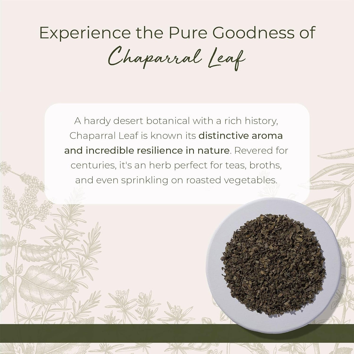 Starwest Botanicals Wildcrafted Chaparral Leaf - Dried Loose Leaf Herb for Tea, Sourced from Creosote Bush, Cut & Sifted, Certified Kosher - Bulk 1 Lb Bag