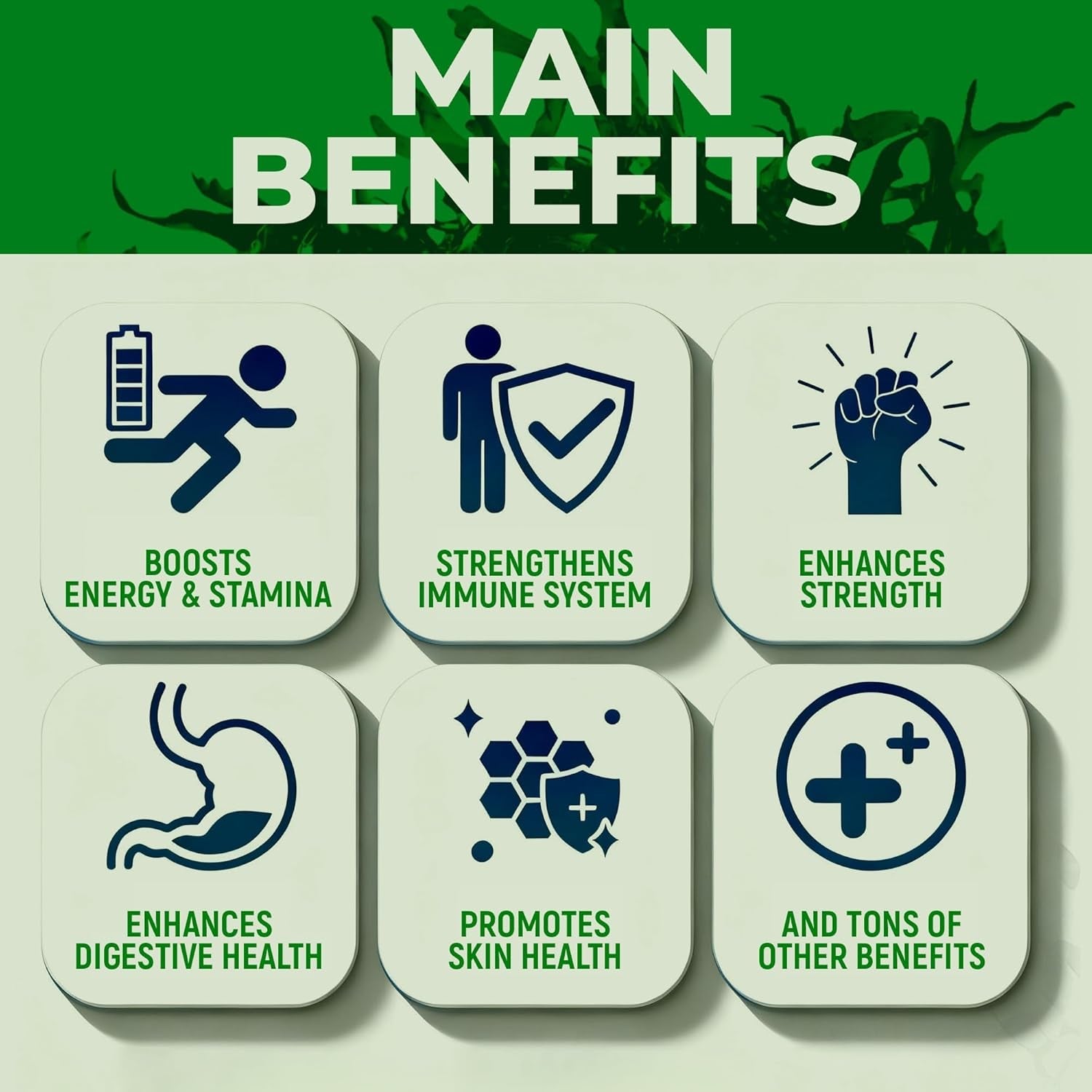 Sea Moss Black Seed Oil Ashwagandha Ginger - Advanced Irish Sea Moss Capsules All in One Supplement with Seamoss Black Seed Oil Ashwagandha Burdock Root Bladderwrack - Pills for Energy, Immune, Gut