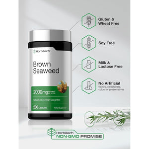 Horbäach Brown Seaweed Extract Capsules | 200 Pills | Fucoxanthin Supplement | Non-Gmo, Gluten Free