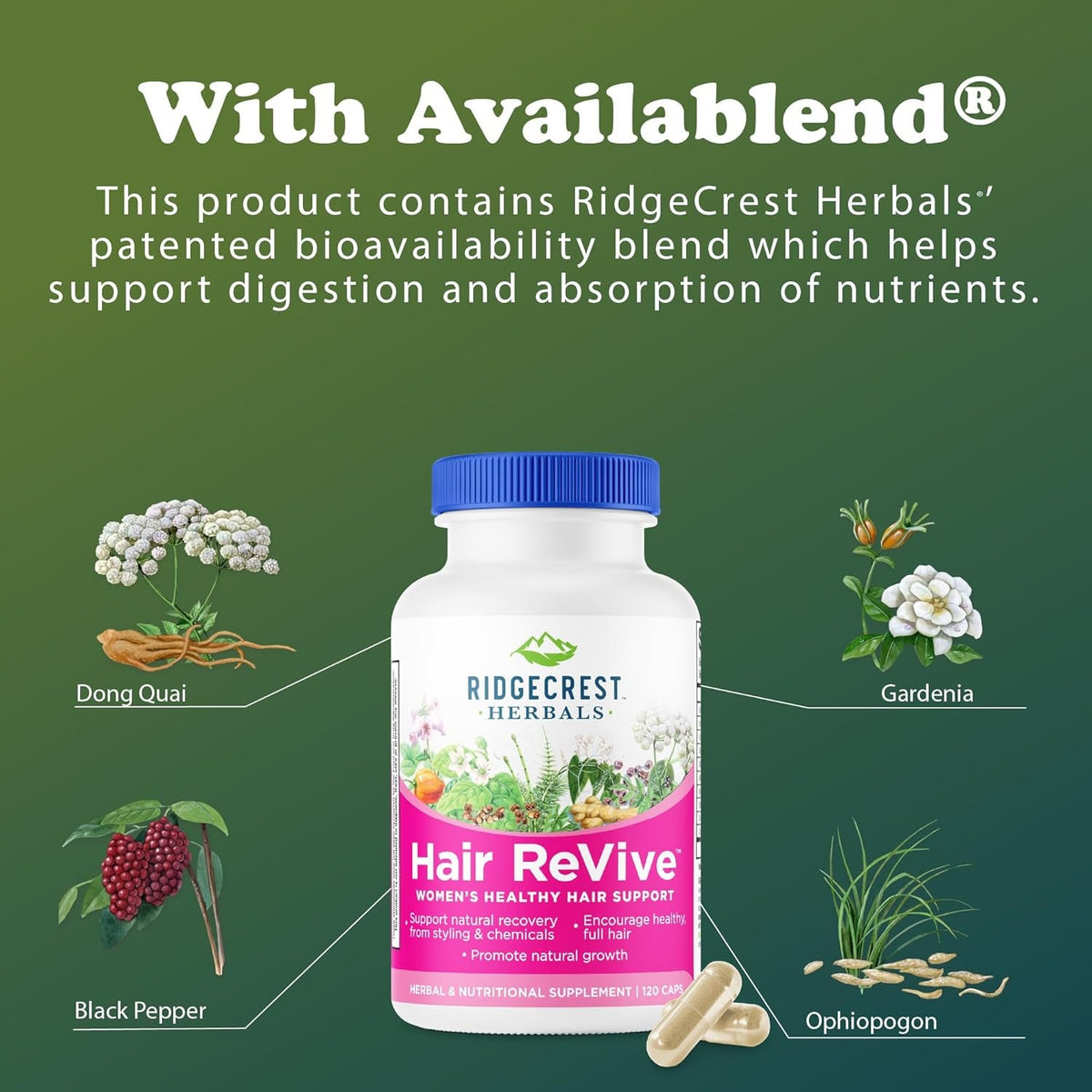 Ridgecrest Herbals Hair Revive, Nutritional Hair Supplement with Vitamin C, Biotin (6000Mcg), Zinc, and Copper, Hair Vitamins for Women to Support Healthy Hair, Skin, and Nails (120 Caps, 30 Servings)