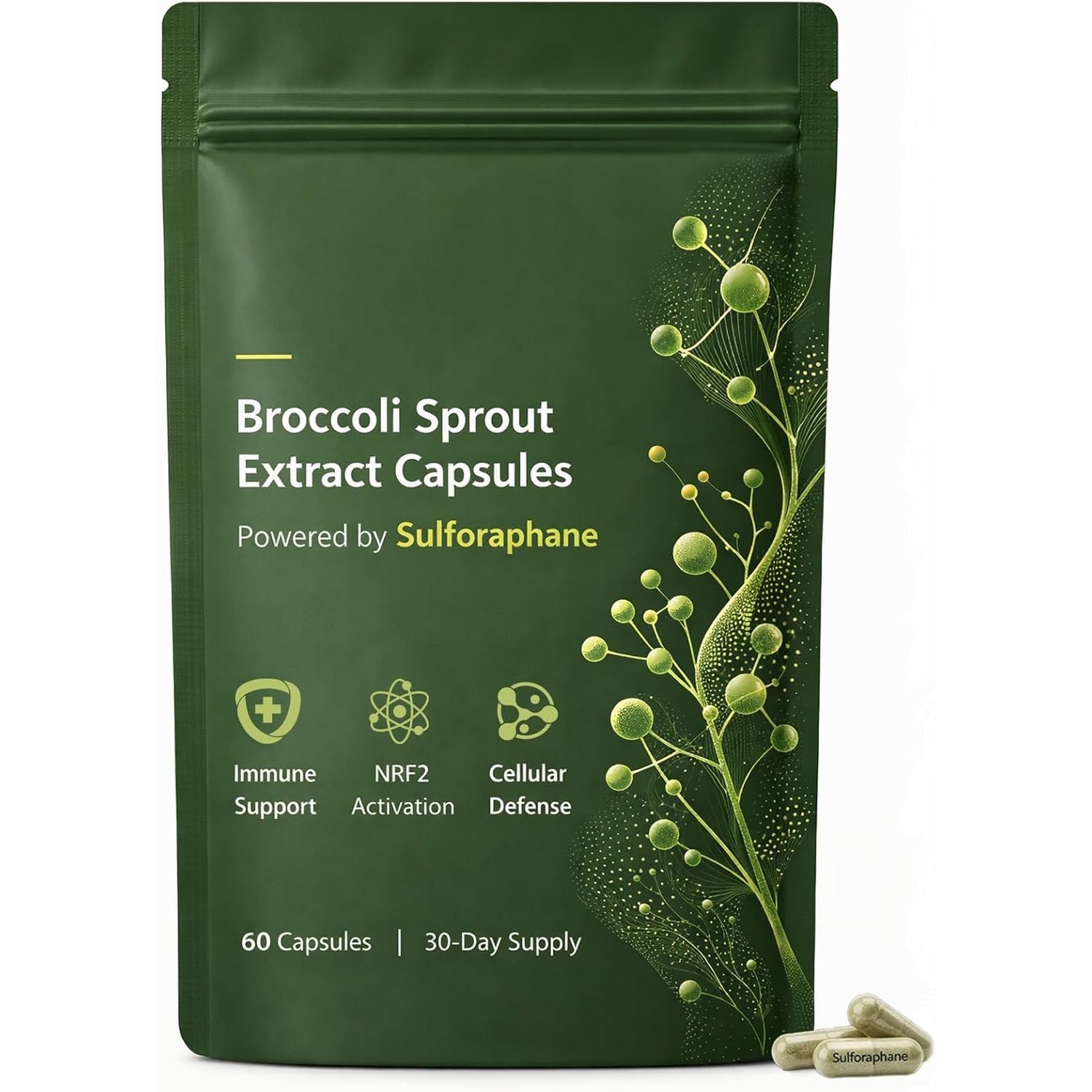 Broccoli Sprout Extract Capsules | with Glucoraphanin & Myrosinase, Sulforaphane Precursor Support with Mustard Seed Extract & Vitamin C | Vegan Non-Gmo | 60 Capsules