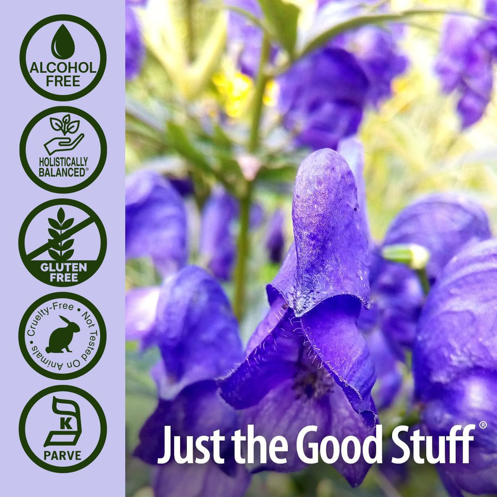 Nature'S Answer Alcohol-Free Skullcap Herb, 1-Fluid Ounce