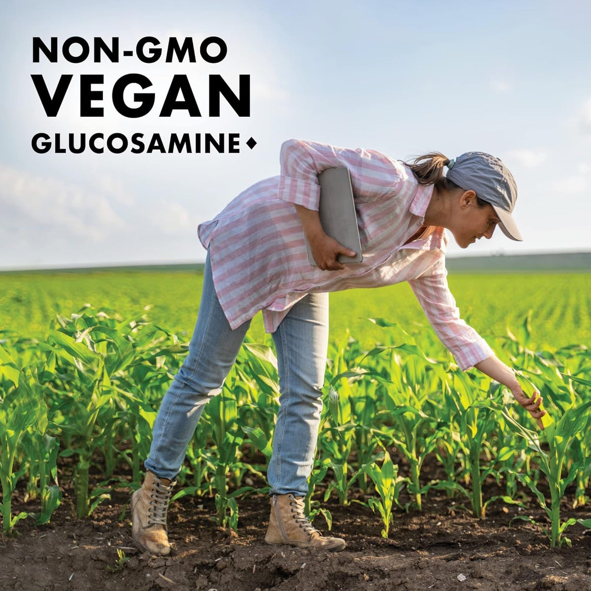 Bluebonnet Vegetarian Glucosamine plus MSM Supplement, 120 Count ('743715011151)