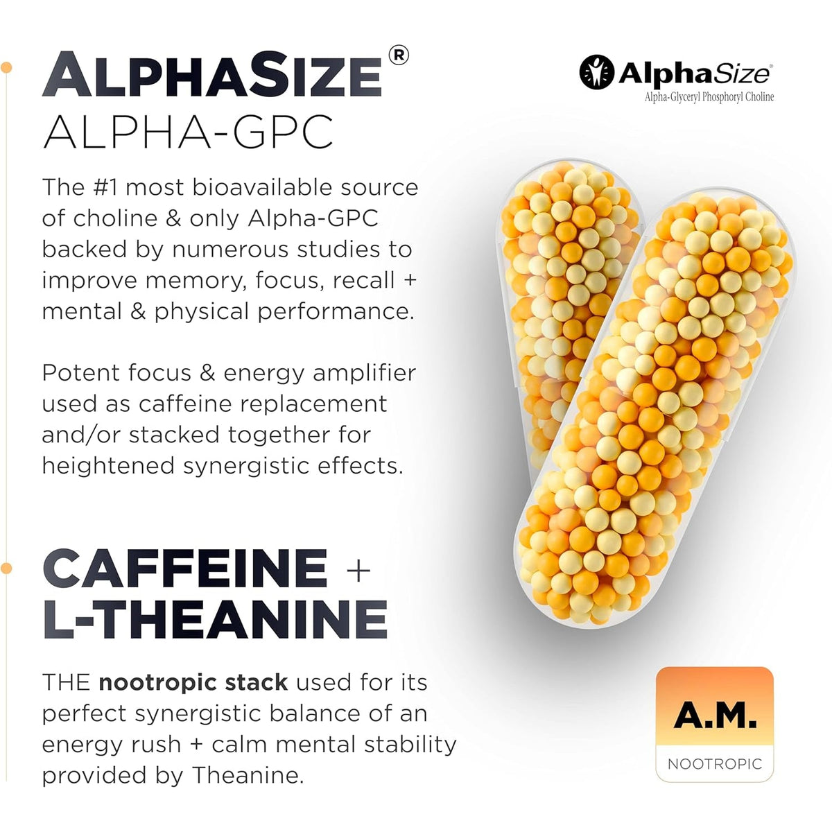 AMPM Nootropic Total Focus + Calm 9X Strength W. Caffeine, L-Theanine, Alpha GPC, L-Tyrosine, Ashwagandha - X-Release Energy Pills Nootropics Brain Support Supplements for Memory and Focus Supplement