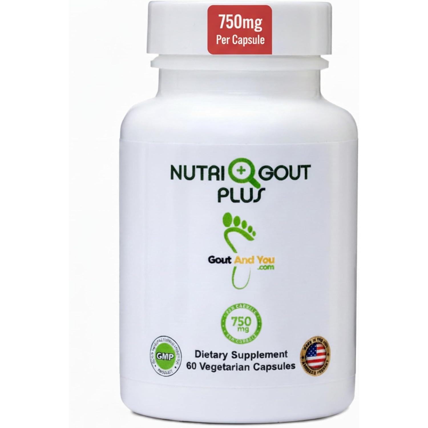 Gout and You Nutrigout plus - Uric Acid Support Premium Formula - 60 Vegetarian Capsules - 750 Mg per Capsule