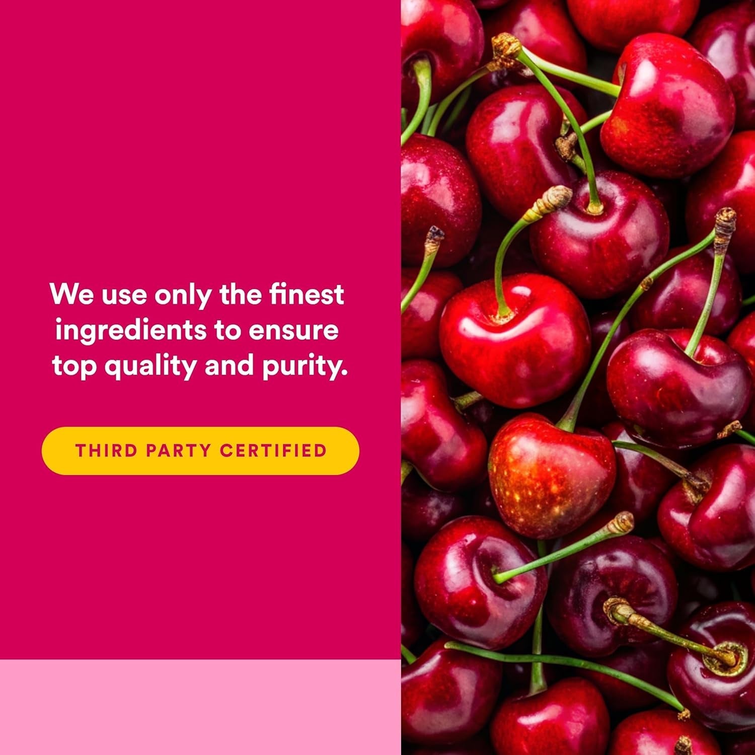 Cherryrich by Natural Factors, Super Strength Cherry Concentrate, Antioxidant Support for Healthy Joints and Uric Acid Metabolism, 90 Softgels (90 Servings)