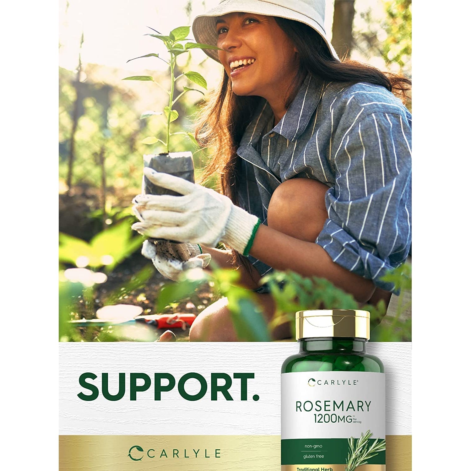 Carlyle Rosemary Capsules | 200 Count | Non-Gmo & Gluten Free Extract