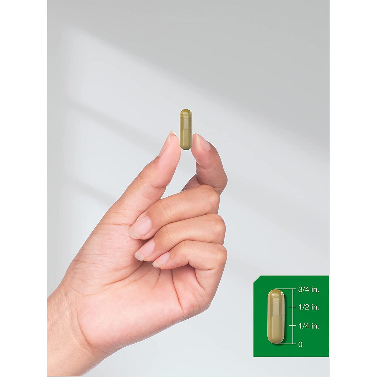 Horbäach Horsetail Supplement | 180 Capsules | Traditional Herbal Extract | Non-Gmo & Gluten Free