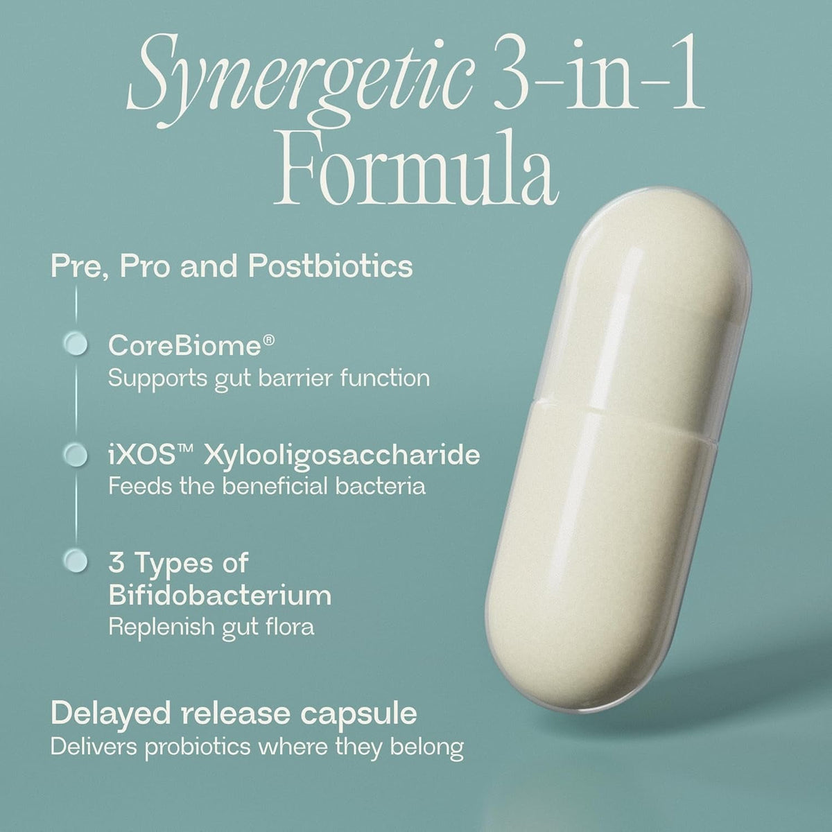 BIOMA Probiotics - Digestive Health Probiotic - Gut Support for Men & Women with Xylooligosaccharides, Tributyrin & Bifidobacterium - Vegan & Gluten Free - 60 Delayed-Release Capsules (30-Day Supply)