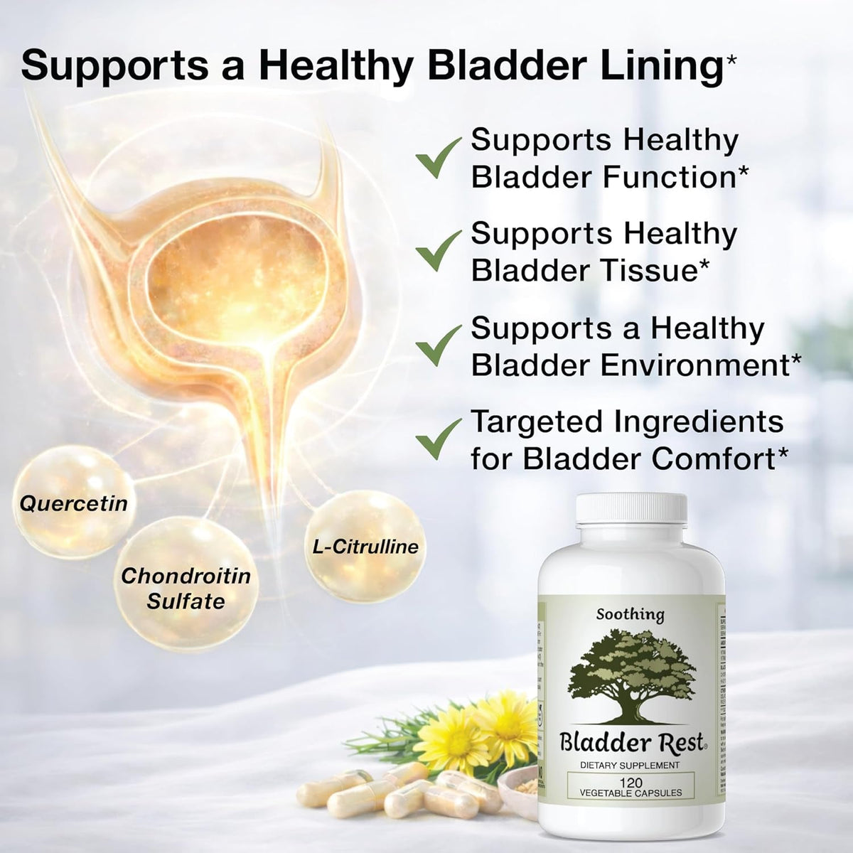 Bladder Health & Pelvic Discomfort* - Natural Lining Support* -120 Capsules - Made in the USA