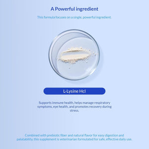 L-Lysine Supplement for Cats 900Mg/Scoop - Cat Supplement for Sneezing and Runny Nose, Cold, Immune Support, Eye Function, and Respiratory Health – Lysine Powder