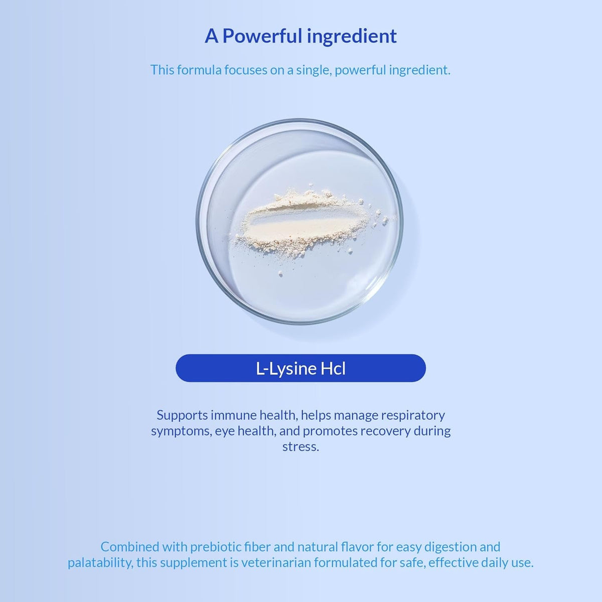 L-Lysine Supplement for Cats 900Mg/Scoop - Cat Supplement for Sneezing and Runny Nose, Cold, Immune Support, Eye Function, and Respiratory Health – Lysine Powder