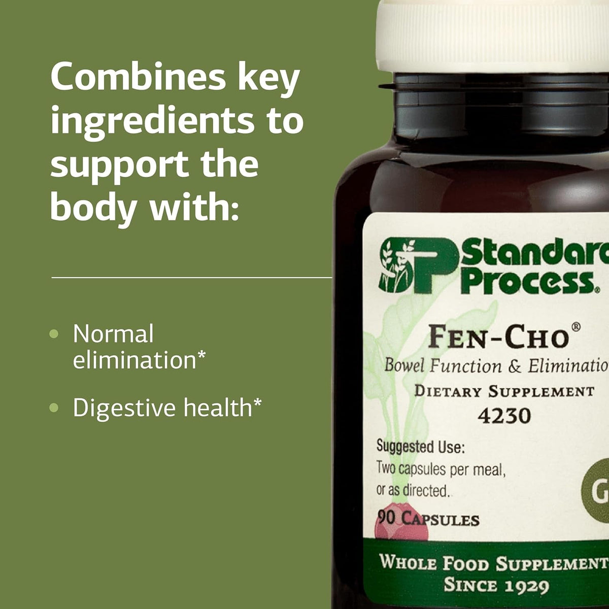 Standard Process Fen-Cho - Digestive & Gut Health Supplement - Gluten-Free, Non-Dairy & Non-Soy - 90 Capsules (45 Servings)