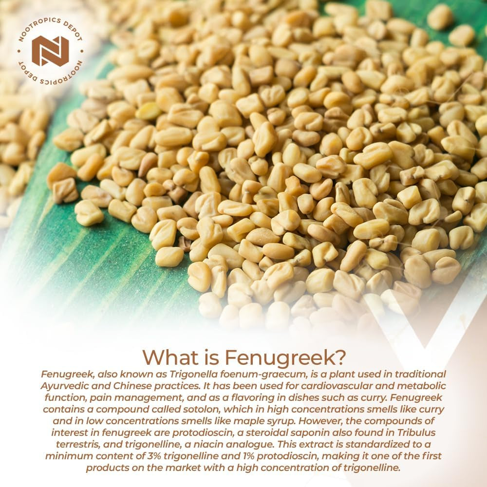 Nootropics Depot Fenugreek Extract Capsules | 500Mg | 60 Ct | 3% Trigonelline, 1% Protodioscin | Trigonella Foenum-Graecum | Mood, Fitness, & Metabolic Function
