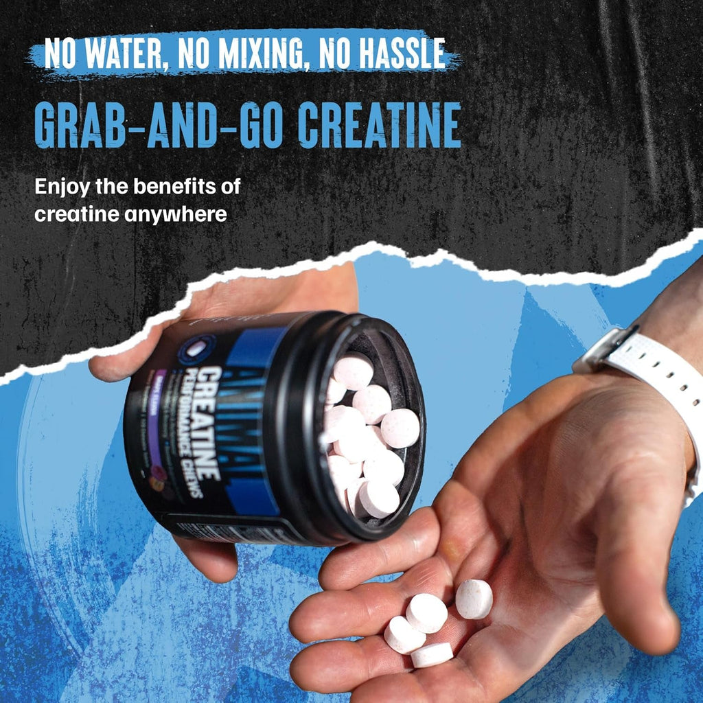 Animal Creatine Chews Tablets - Enhanced Creatine Monohydrate with Astragin to Improve Absorption, Sea Salt for Added Pumps, Delicious and Convenient Chewable Tablets - Fruit Punch