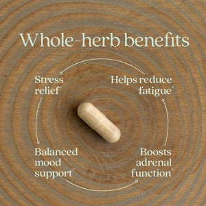 New Chapter Organic Ashwagandha Supplement, One Capsule a Day of Adaptogens for Stress Relief, Mood Support, & Energy, Vegan, 60 Count