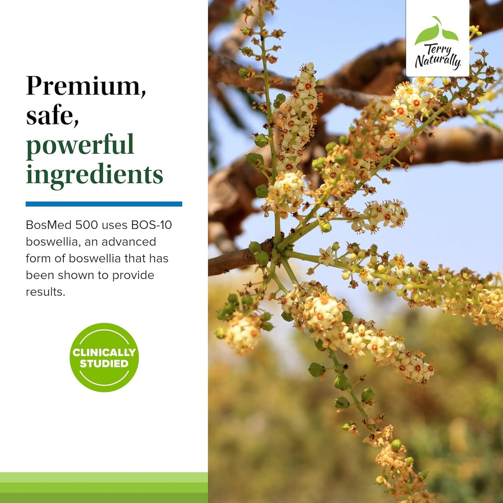 Terry Naturally Bosmed 500 Extra Strength - Boswellia Serrata Extract Supplement - Supplement for Healthy Lung Support - Herbal Supplement Formula with High Levels of AKBA - 120 Softgels