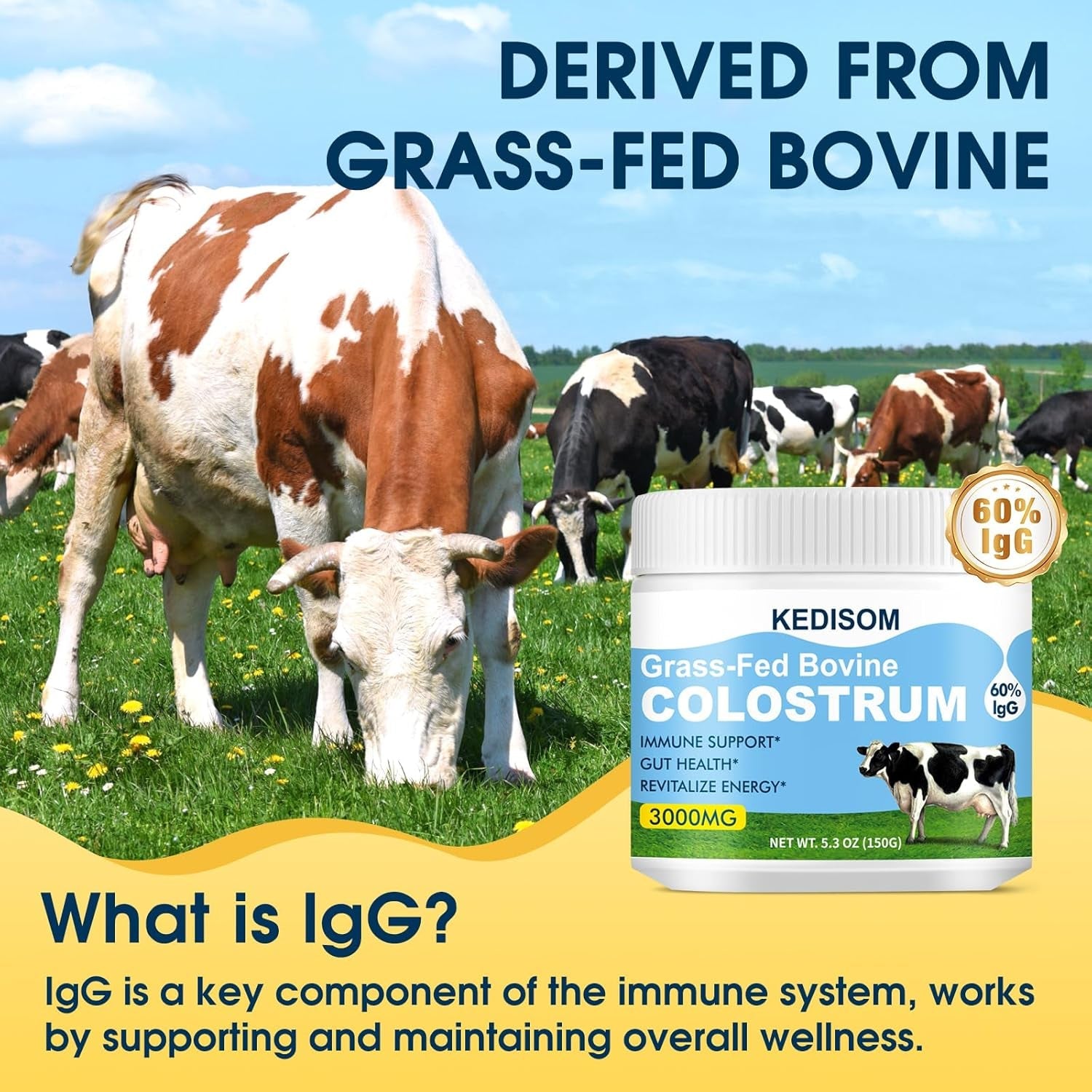 Grass-Fed Bovine Colostrum Supplement Powder - 60% High Igg 3000 Mg for Gut Health, Immune Support - Easy to Mix Natural Liposomal Colostrum Superfood, Unflavored, 50 Servings